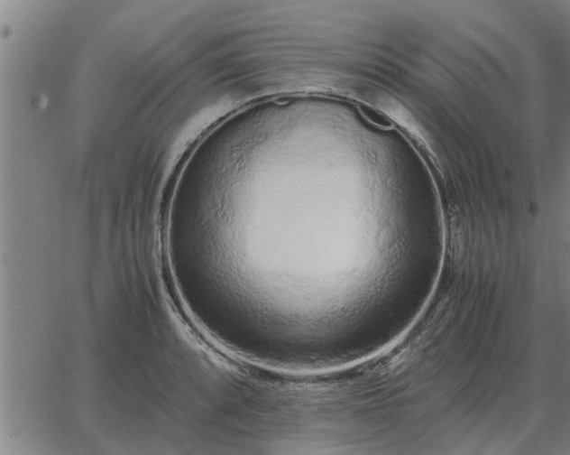 X0000062881088200601201813