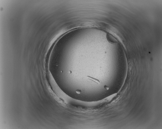 X0000062881091200601201813