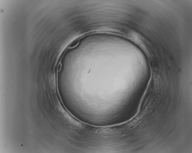 X0000062881092200601201813