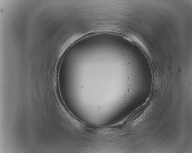 X0000062881093200601201813