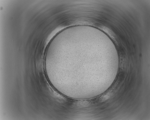 X0000062881094200601201813