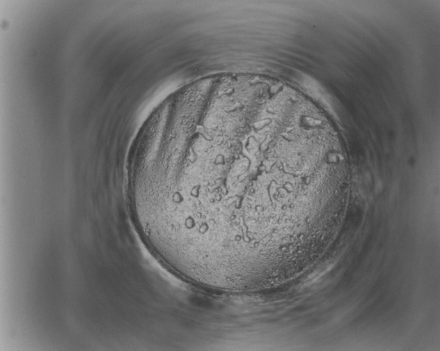 X0000062881095200601201813