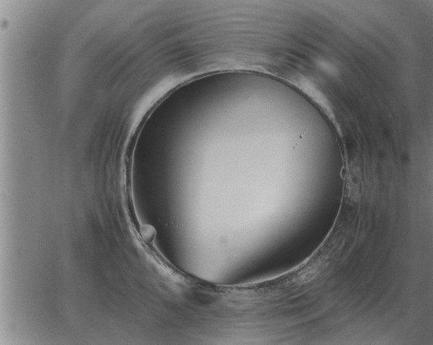 X0000062881096200601201813