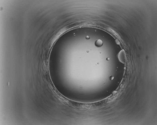 X0000062881097200601201813