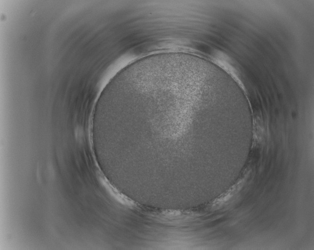 X0000062881098200601201813