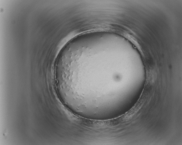 X0000062881099200601201813