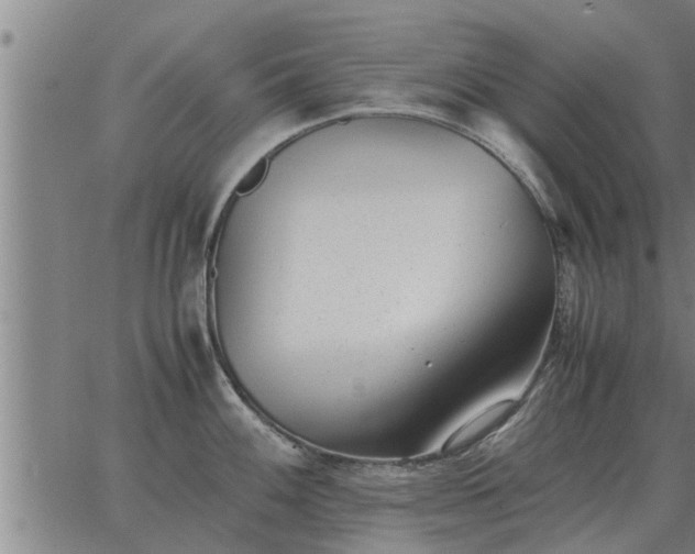 X0000062881100200601201813