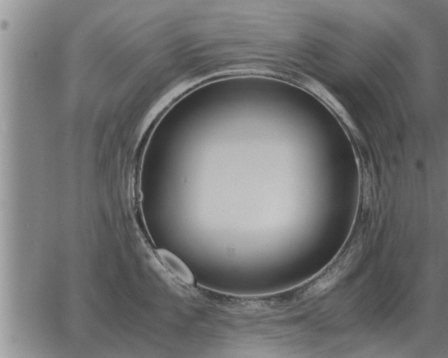 X0000062881101200601201813