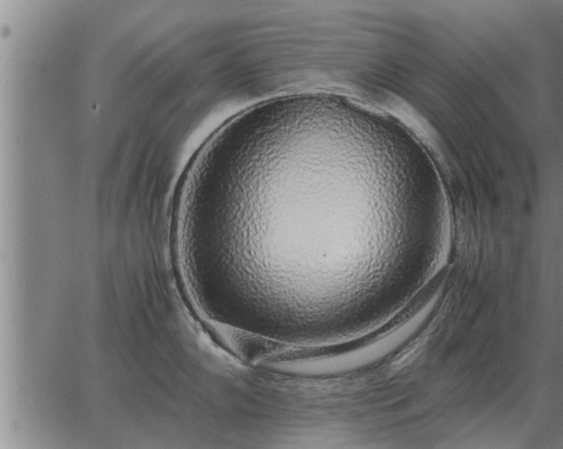 X0000062881102200601201813