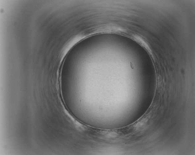 X0000062881103200601201813