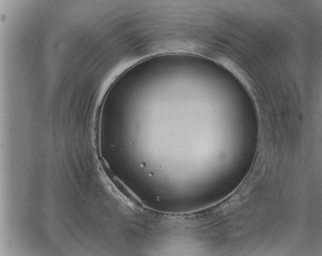 X0000062881104200601201813