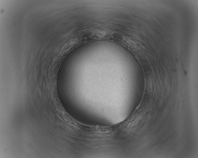 X0000062881105200601201812