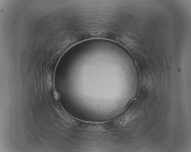 X0000062881106200601201812