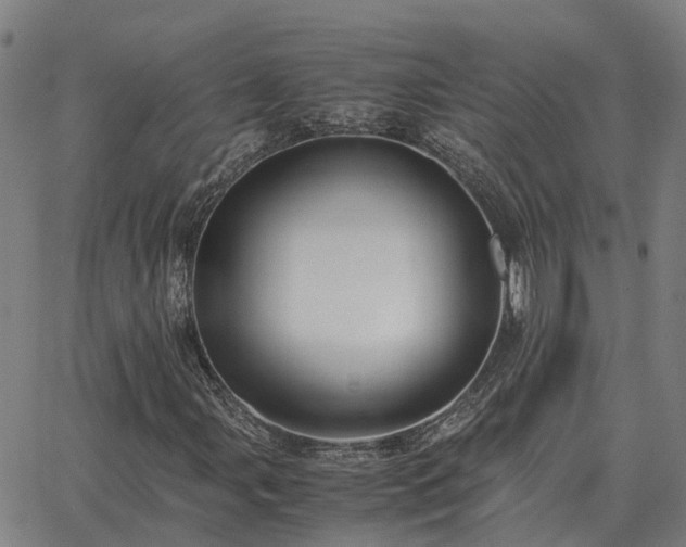 X0000062881107200601201812