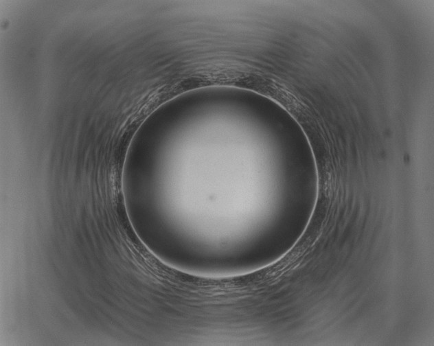 X0000062881108200601201812