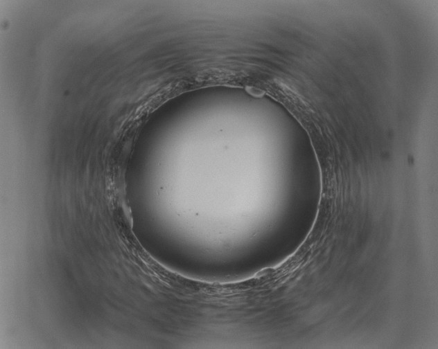 X0000062881109200601201812