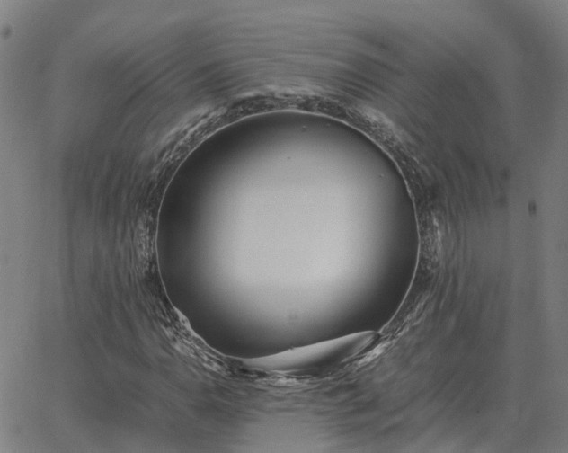 X0000062881110200601201812