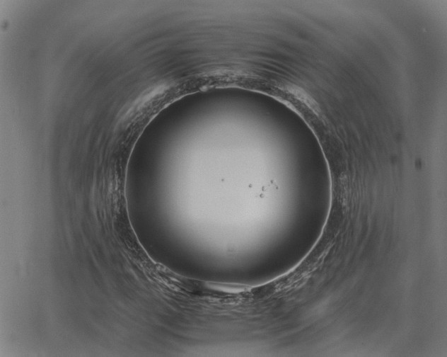 X0000062881111200601201812