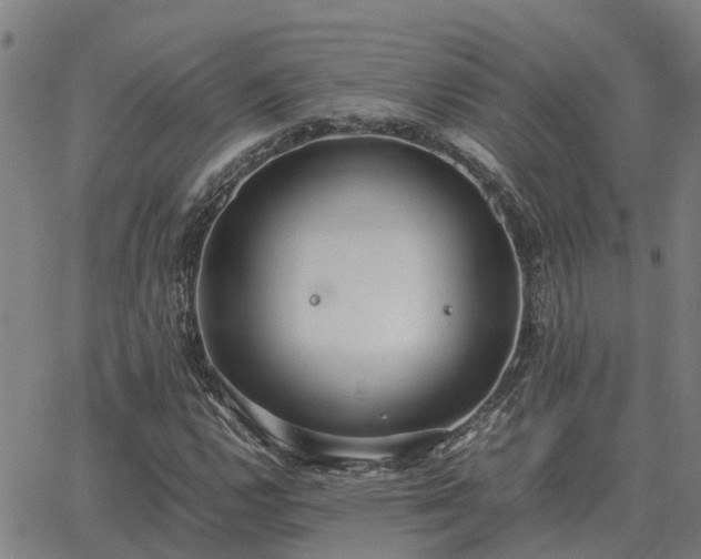 X0000062881112200601201813