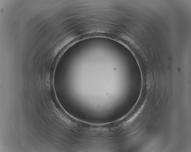 X0000062881113200601201813