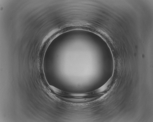 X0000062881114200601201813