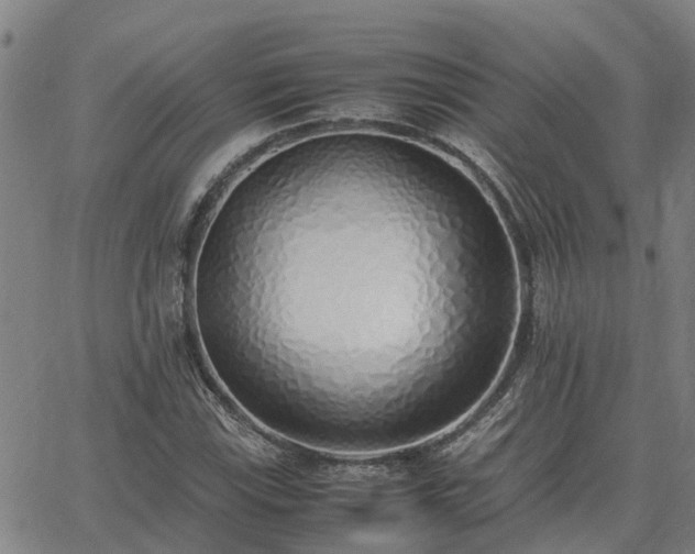 X0000062881115200601201813