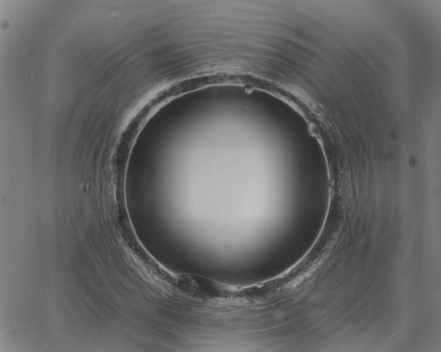 X0000062881118200601201813