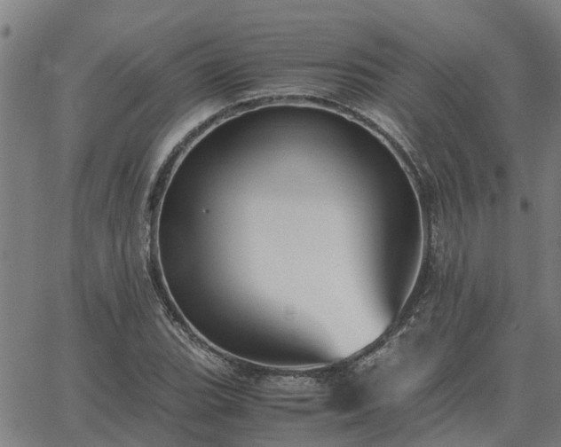 X0000062881119200601201813