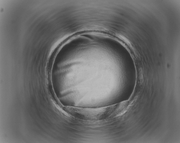 X0000062881120200601201813