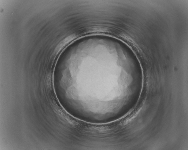 X0000062881121200601201813