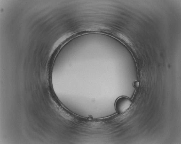 X0000062881122200601201813