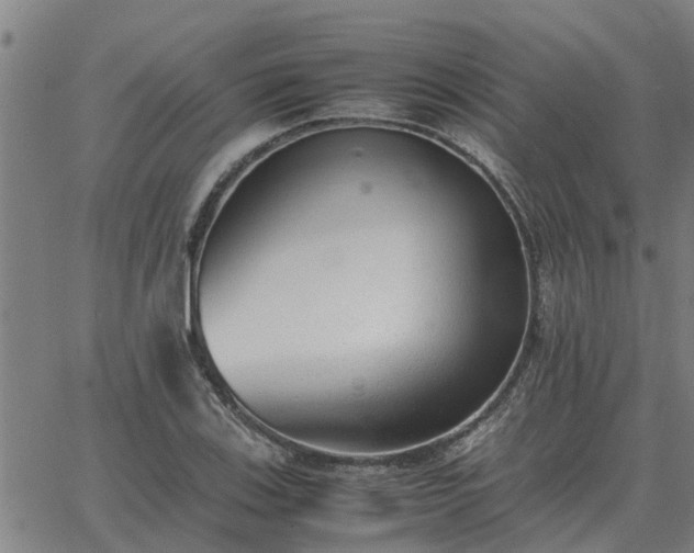 X0000062881123200601201813