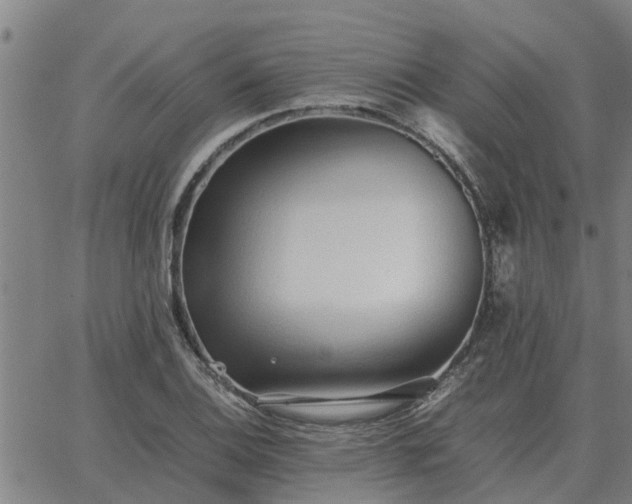 X0000062881124200601201813