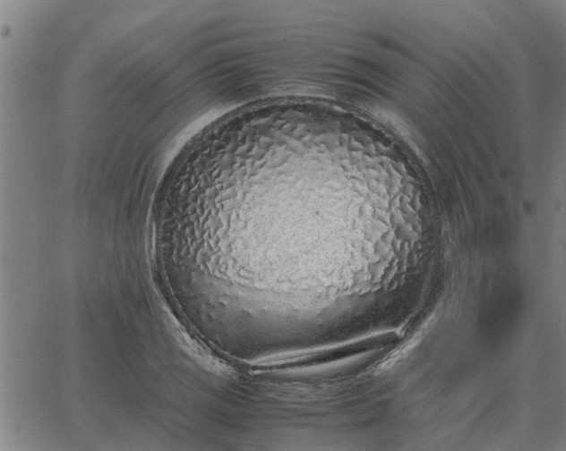 X0000062881125200601201813