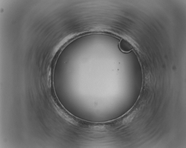 X0000062881126200601201813