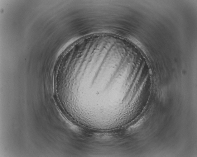 X0000062881127200601201813