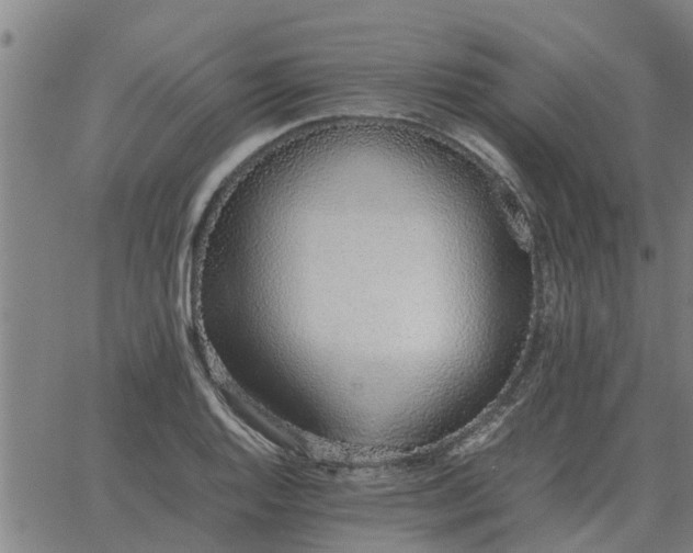 X0000062881128200601201813