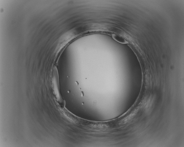 X0000062881129200601201813