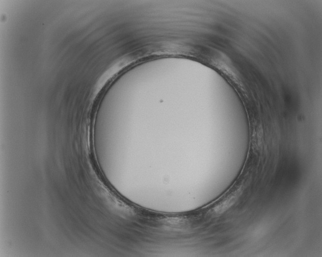 X0000062881130200601201813