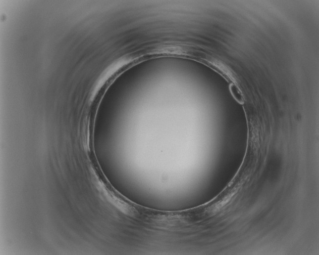 X0000062881131200601201813