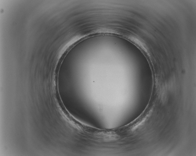 X0000062881133200601201813