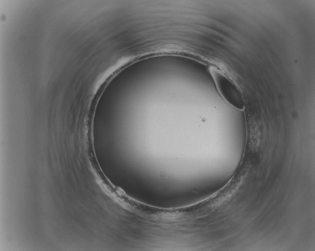 X0000062881134200601201813