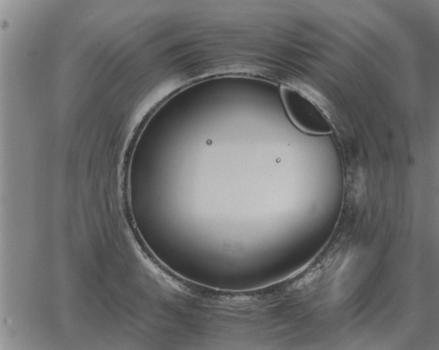 X0000062881135200601201813