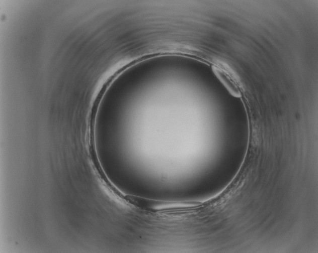 X0000062881136200601201813