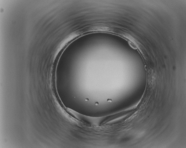 X0000062881139200601201813