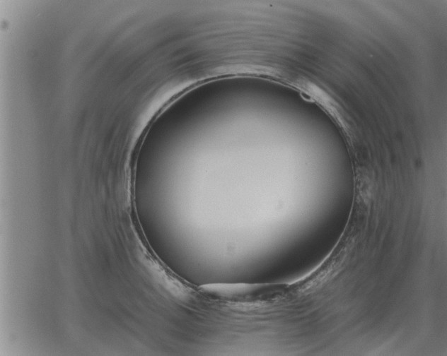 X0000062881140200601201813