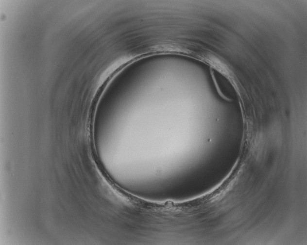 X0000062881141200601201813