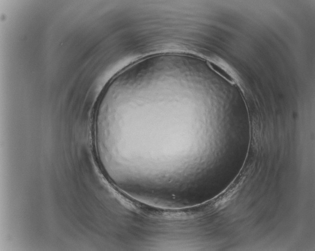 X0000062881142200601201813