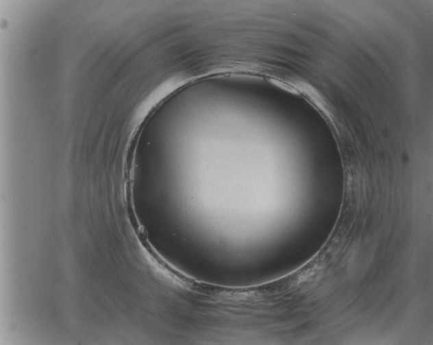 X0000062881143200601201813