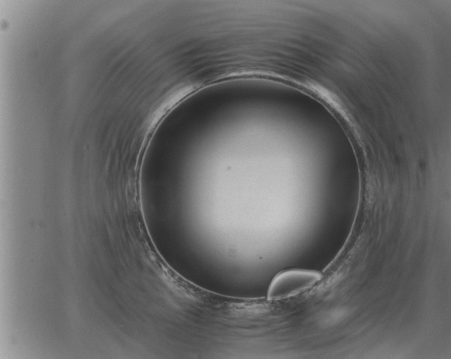 X0000062881145200601201813